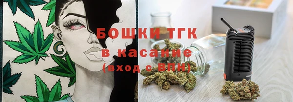 ГАЛЛЮЦИНОГЕННЫЕ ГРИБЫ Костерёво