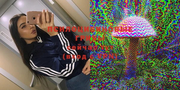 мдпв Корсаков
