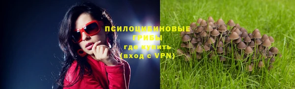 apvp Тольятти