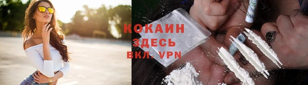 мдпв Корсаков