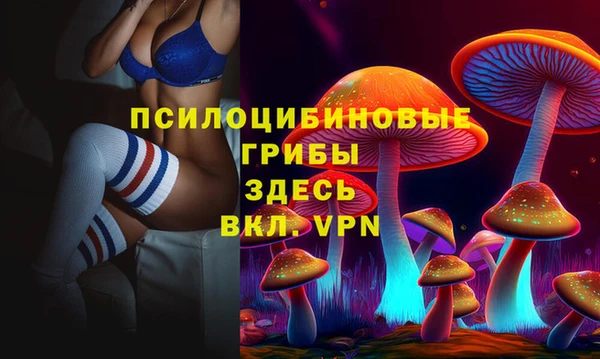 ГАЛЛЮЦИНОГЕННЫЕ ГРИБЫ Костерёво