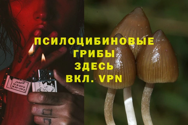 ГАЛЛЮЦИНОГЕННЫЕ ГРИБЫ Костерёво