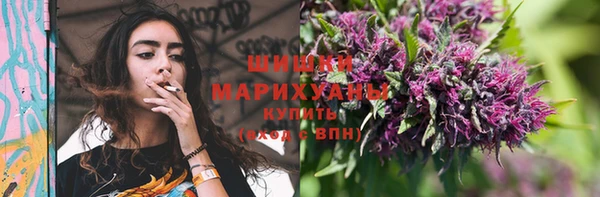 мдпв Корсаков