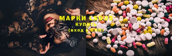 мдпв Корсаков