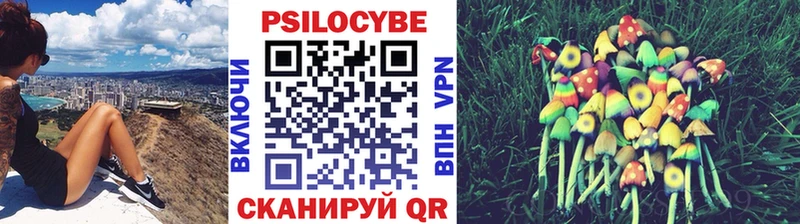 Галлюциногенные грибы мицелий  что такое   Альметьевск 